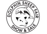 The Dolphin Sheep Fair, Breeding Females & Store Sheep